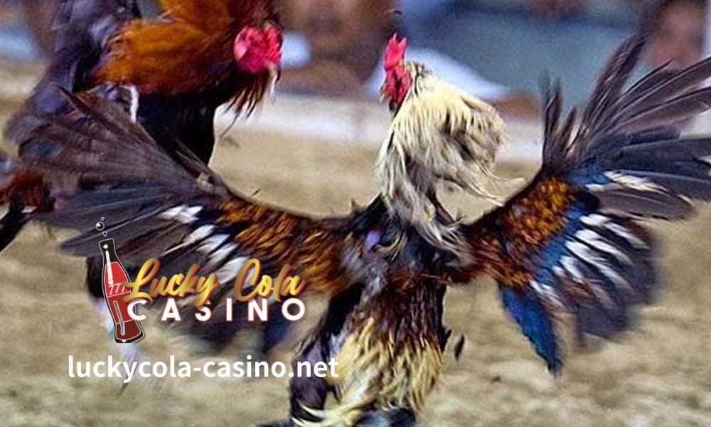 Ang online sabong winning tips na ito ay makakatulong sa iyo na mahanap ang iyong online na sabong sites na nag-aalok ng mga bonus at loyalty points.