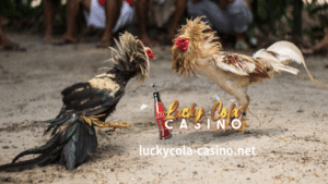 Kapag nakapasok ka na sa mundo ng online sabong betting, ang unang bagay na kailangan mong gawin ay i-set up ang iyong account.