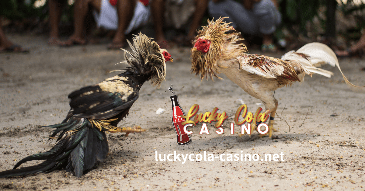 Kapag nakapasok ka na sa mundo ng online sabong betting, ang unang bagay na kailangan mong gawin ay i-set up ang iyong account.