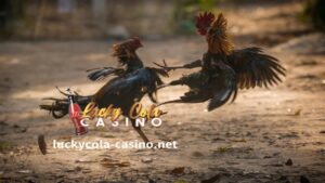 Dahil dito, may kumpiyansa na masasabi na ang pagsisimula sa paglalaro ng online na sabong ngayon ay isa sa mga bagay na pinakakumikita mo kailanman.